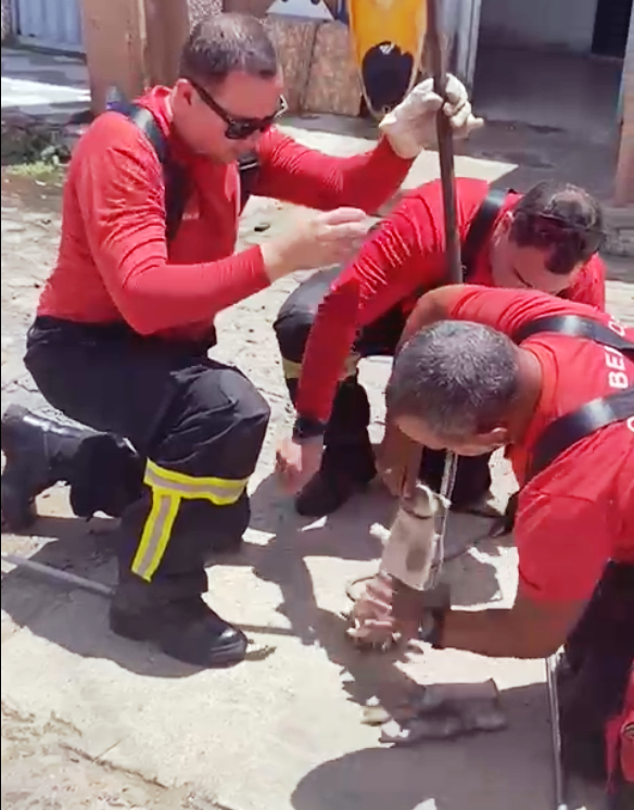 Bombeiros resgatam cachorro preso em bueiro no Conjunto Nova Natal