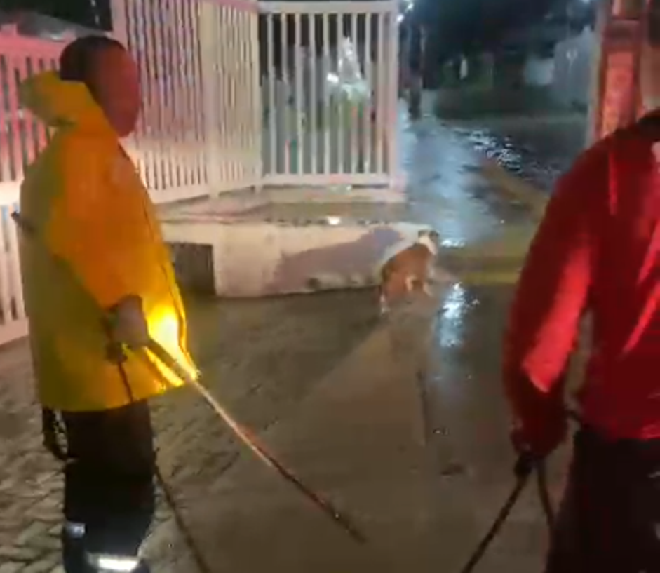 Bombeiros do RN resgatam cachorro levado pela chuva em Igapó