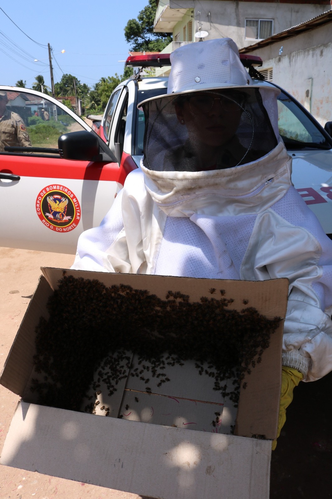 Corpo de Bombeiros Abelhas