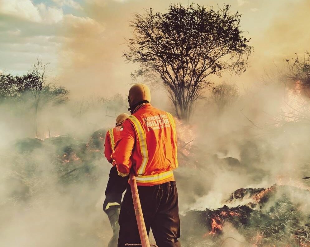 Corpo de Bombeiros do RN atende oito ocorrências de incêndio em vegetação em um único dia