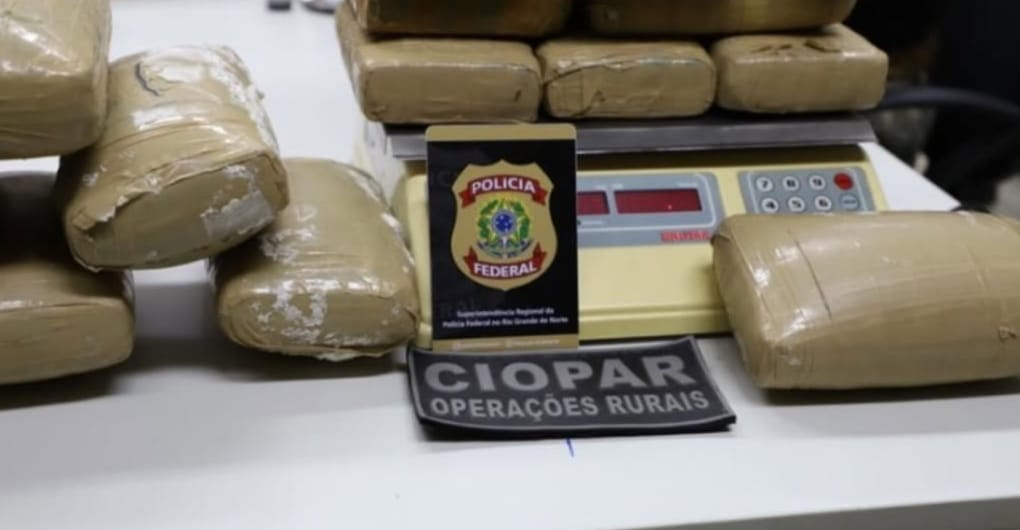 Ação integrada: PM e Polícia Federal apreendem 20 kg de maconha na zona rural de Angicos