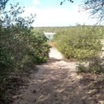 Corpo é encontrado decapitado em lagoa na Zona Norte de Natal