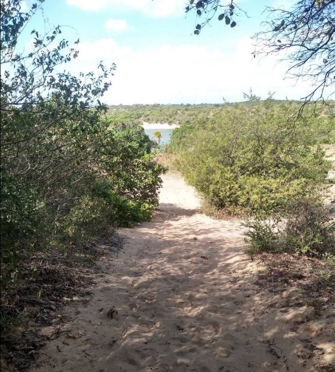 Corpo é encontrado decapitado em lagoa na Zona Norte de Natal