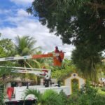 Moradores relatam risco de queda de árvores em barranco e Bombeiros realizam poda preventiva em Areia Preta
