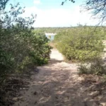 Lagoa Azul volta ao centro da violência: corpo esquartejado reacende histórico de desova em Natal