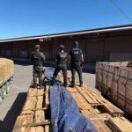 PortalBO/Brasil: Operação internacional Timber Shield intercepta 260 toneladas de madeira com cocaína na fronteira