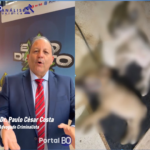 Crescimento dos crimes contra animais acende debate sobre endurecimento das penas no Brasil