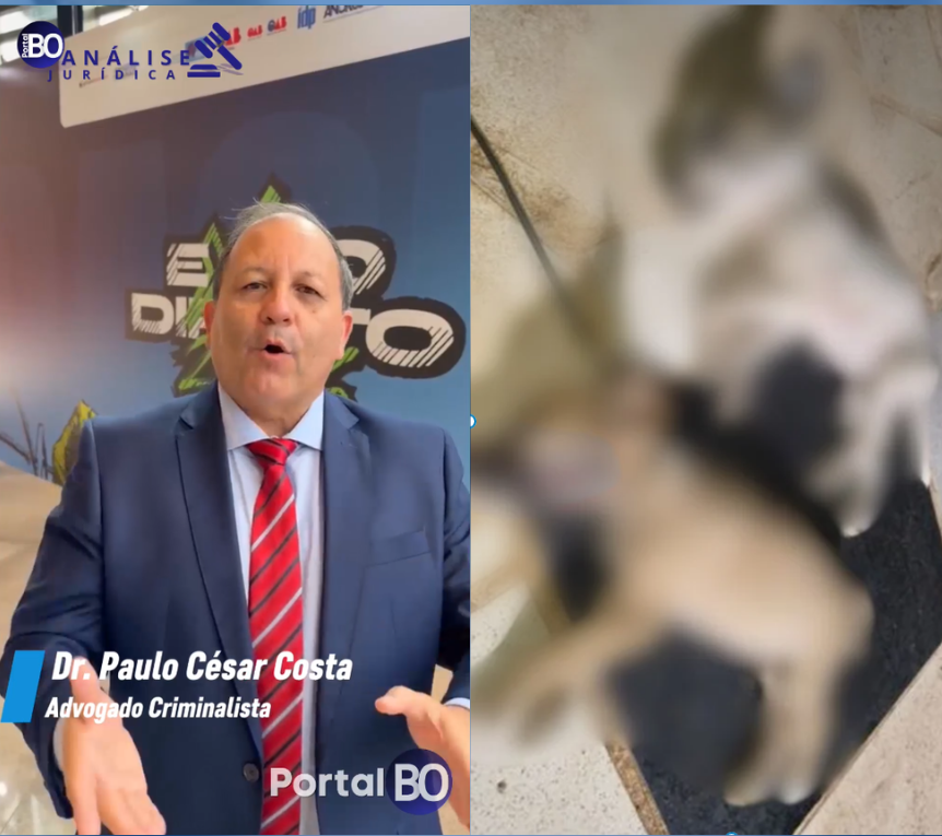 Crescimento dos crimes contra animais acende debate sobre endurecimento das penas no Brasil