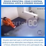 Caso Deolane traz à tona questão pouco discutida: como o sistema prisional afeta o cérebro humano