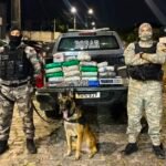 Ação conjunta do BOPAR e BPChoque apreende mais de 20 kg de drogas em imóvel de Parnamirim