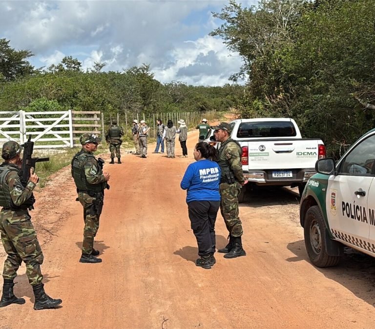 Operação identifica desmatamento ilegal de 32 hectares na Mata Atlântica no RN e aplica quase R$ 3 milhões em multas