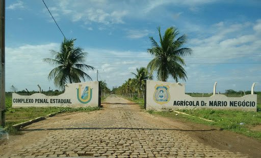 Transferência de 24 detentos para a Penitenciária Mário Negócio faz unidade atingir 800 presos em Mossoró