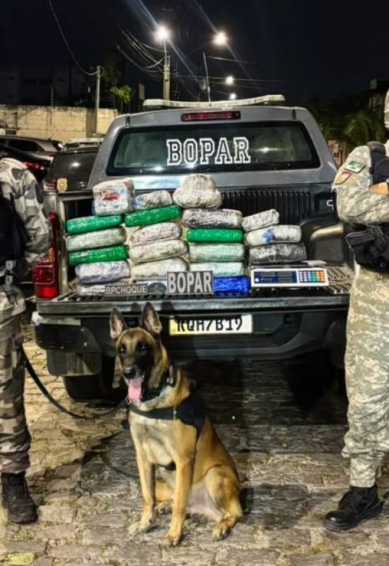 Ação conjunta do BOPAR e BPChoque apreende mais de 20 kg de drogas em imóvel de Parnamirim