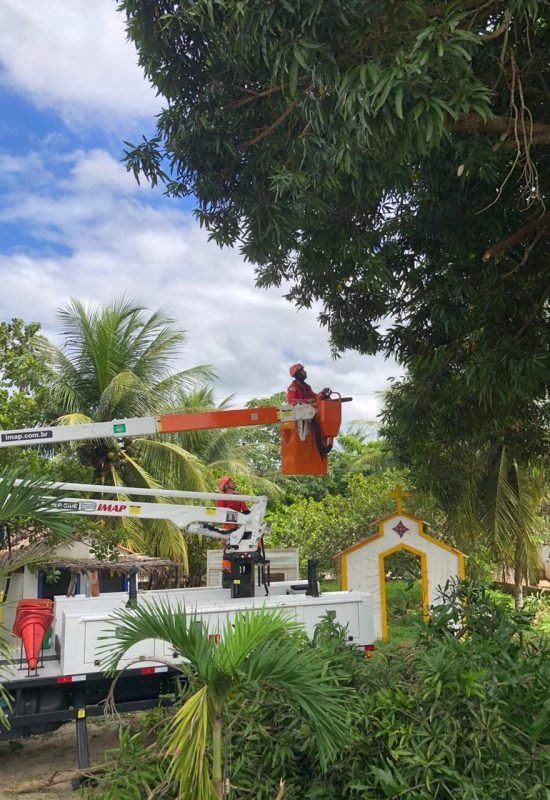 Moradores relatam risco de queda de árvores em barranco e Bombeiros realizam poda preventiva em Areia Preta