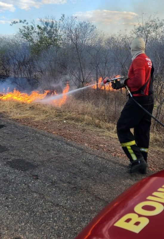 Bombeiros combatem incêndio de grandes proporções em área de vegetação em Francisco Dantas no RN