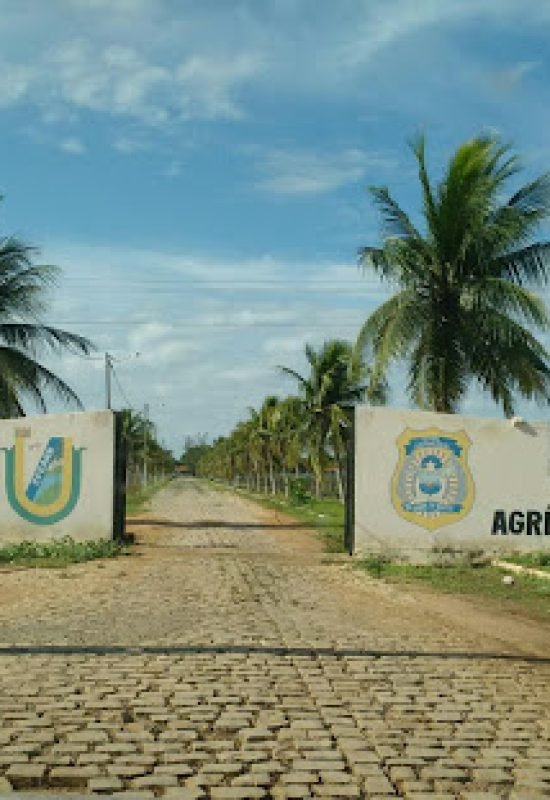 Transferência de 24 detentos para a Penitenciária Mário Negócio faz unidade atingir 800 presos em Mossoró