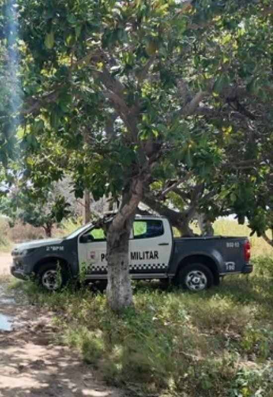 Corpo em avançado estado de decomposição é encontrado em área de vegetação na Estrada da Raiz em Mossoró
