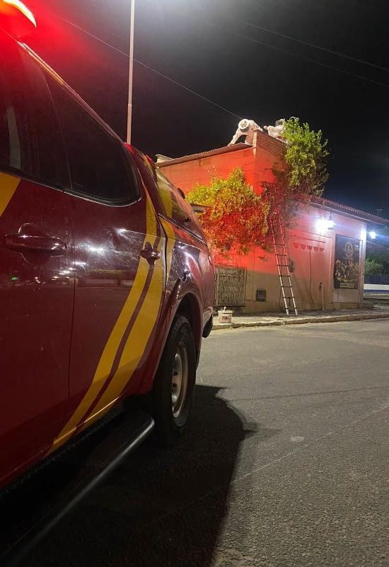 Bombeiros removem enxame de abelhas instalado em caixa d’água na zona rural de José da Penha